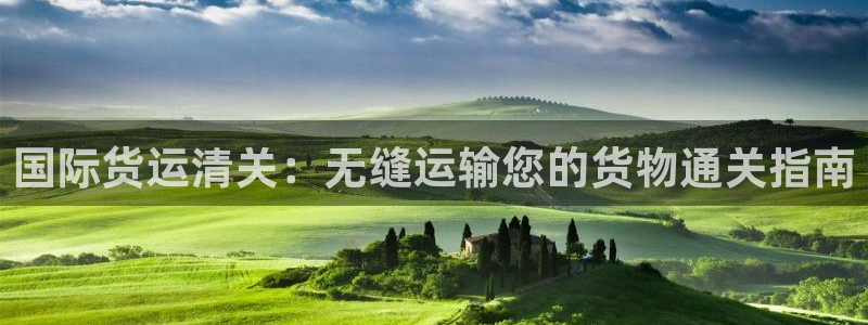 尊龙凯时人生就是博·(中国)官网：国际货运清关：无缝运输