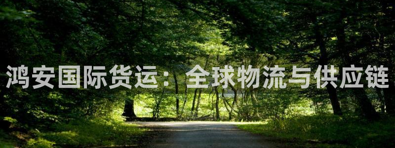 尊龙人生就是博旧：鸿安国际货运：全球物流与供应链
