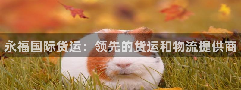 尊龙ag旗舰厅官网官方入口：永福国际货运：领先的货运和物