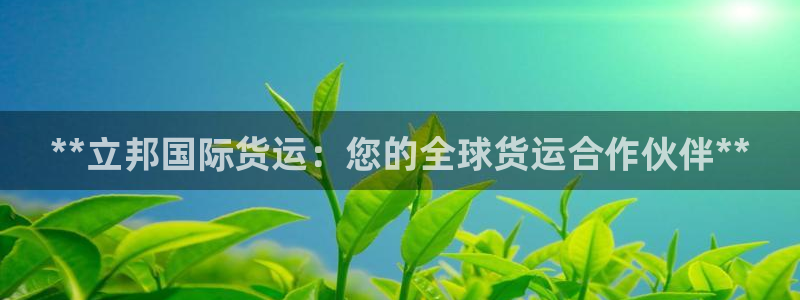 尊龙凯时登陆网址：**立邦国际货运：您的全球货运合作伙伴