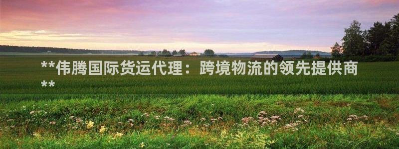 尊龙ag旗舰厅官网·(中国)官方入口：**伟腾国际货运代