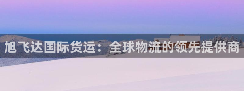 尊龙人生就是博l：旭飞达国际货运：全球物流的领先提供商