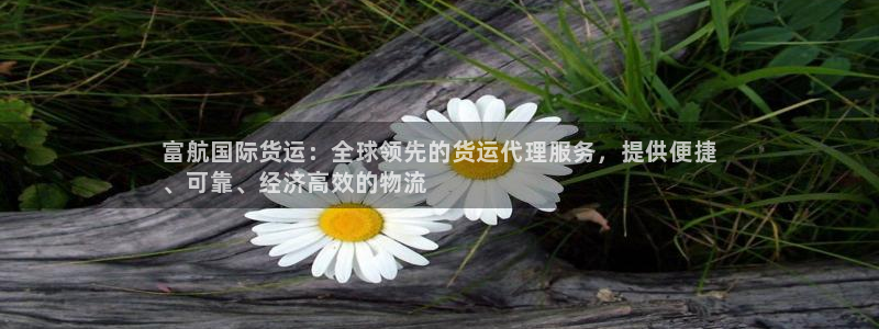 尊龙凯时网站网址：富航国际货运：全球领先的货运代理服务，