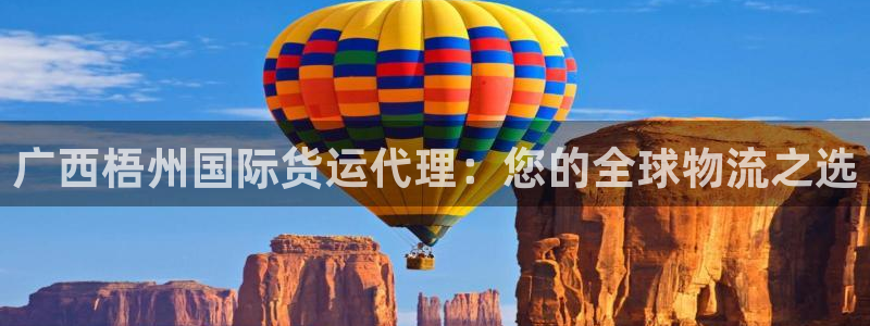 尊龙集团官网：广西梧州国际货运代理：您的全球物流之选