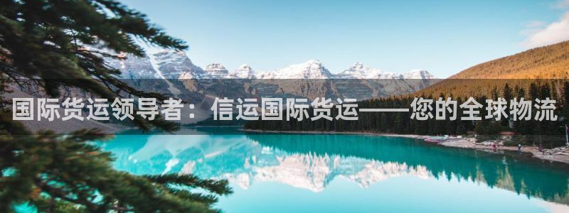 尊龙凯时凯发官网：国际货运领导者：信运国际货运——您的全