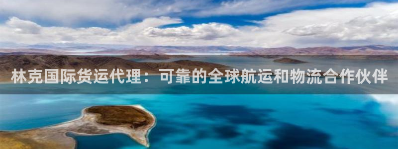 尊龙凯时 - 人生就是搏!：林克国际货运代理：可靠的全球