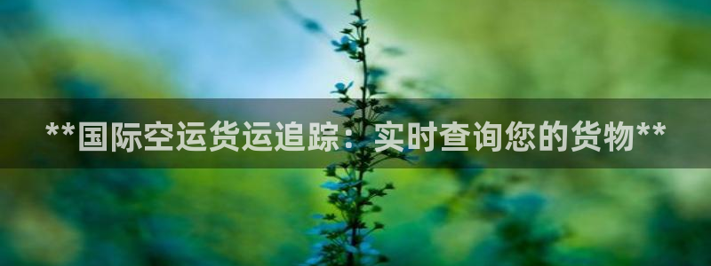 尊龙凯时白家乐Abb下载：**国际空运货运追踪：实时查询