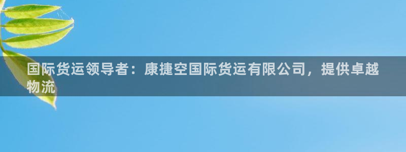 尊龙凯时取钱很慢：国际货运领导者：康捷空国际货运有限公司