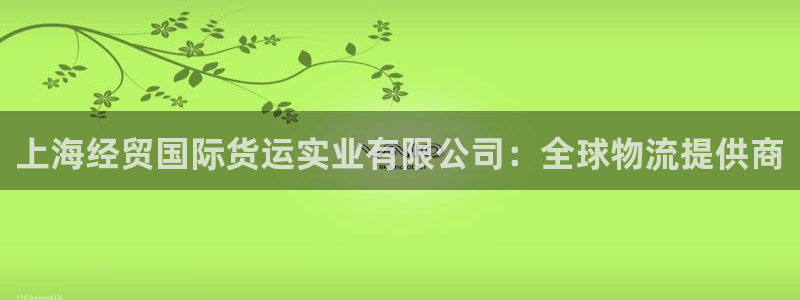 尊龙凯时人生就是搏技术实力：上海经贸国际货运实业有限公司