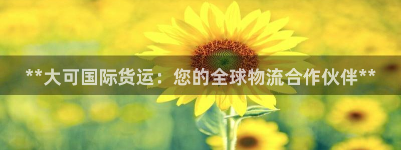 尊龙凯时提现不了：**大可国际货运：您的全球物流合作伙伴