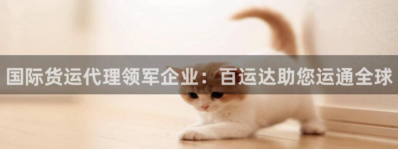 尊龙人生就是博一下阿扎尔：国际货运代理领军企业：百运达助