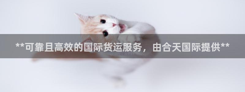 尊龙人生就是一博!：**可靠且高效的国际货运服务，由合天