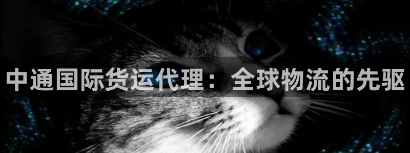尊龙游戏官网：中通国际货运代理：全球物流的先驱