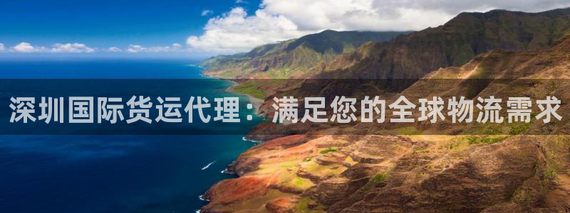 尊龙凯时集团：深圳国际货运代理：满足您的全球物流需求