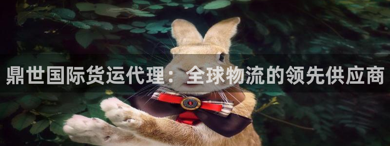 尊龙官网手机版下载：鼎世国际货运代理：全球物流的领先供应