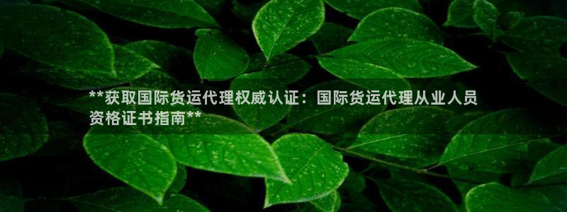 尊龙—人生就是博：**获取国际货运代理权威认证：国际货运