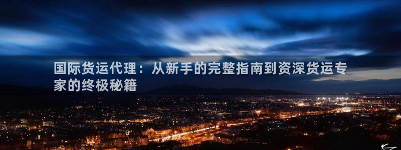 尊龙人生就是博旗舰厅：国际货运代理：从新手的完整指南到资
