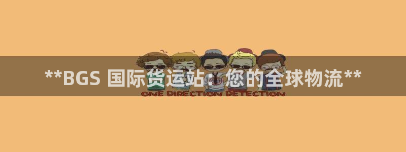 尊龙凯时人生就是搏技术实力：**BGS 国际货运站：您的