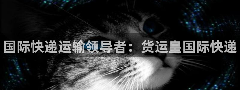 尊龙2016：国际快递运输领导者：货运皇国际快递