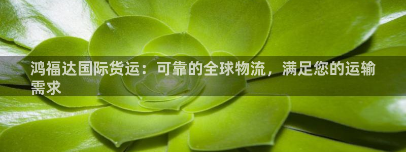尊龙凯时几百万怎么下款：鸿福达国际货运：可靠的全球物流，