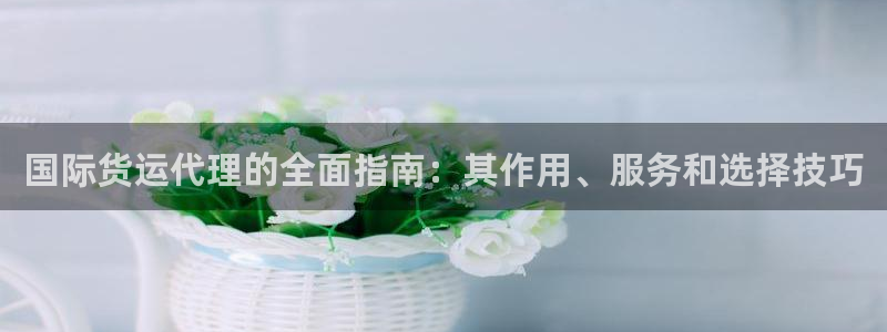 尊龙凯时人生就是搏技术实力：国际货运代理的全面指南：其作
