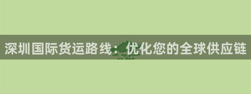尊龙凯时几百万怎么下款：深圳国际货运路线：优化您的全球供