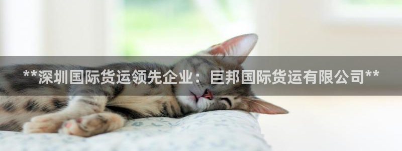 尊龙凯时推荐人：**深圳国际货运领先企业：巨邦国际货运有