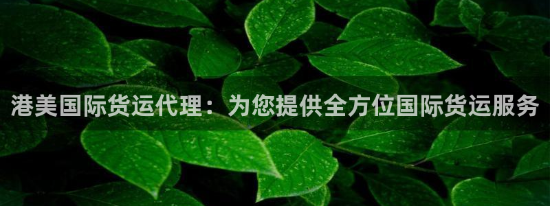尊龙目前照片：港美国际货运代理：为您提供全方位国际货运服