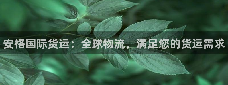 尊龙app最新版本官网：安格国际货运：全球物流，满足您的
