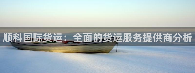 尊龙人生就是博d88官方网站：顺科国际货运：全面的货运服
