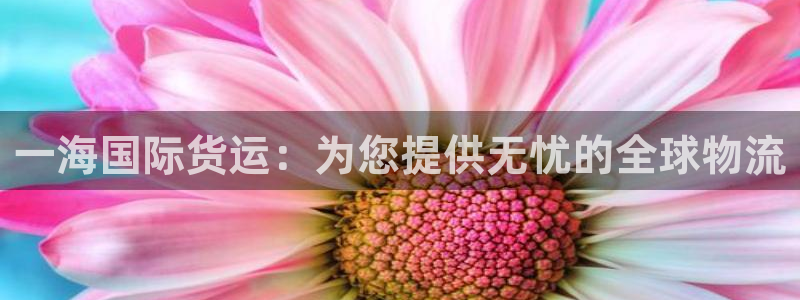 尊龙网址苹果版下载：一海国际货运：为您提供无忧的全球物流