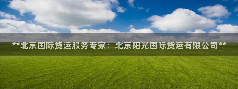 尊龙凯时城娱乐：**北京国际货运服务专家：北京阳光国际货