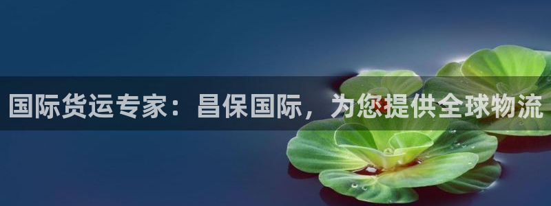 尊龙软件下载：国际货运专家：昌保国际，为您提供全球物流