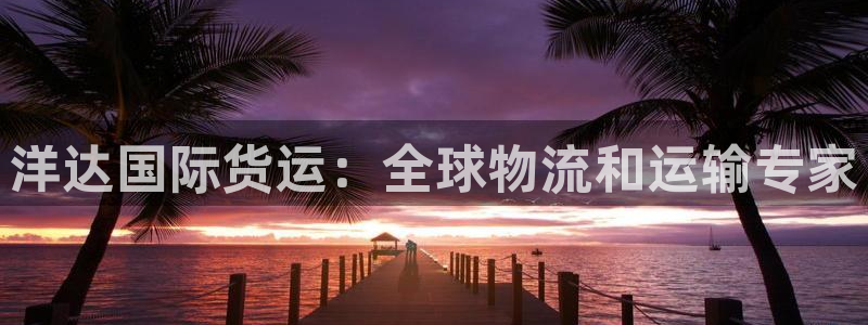 尊龙凯时人生就是博官网登录：洋达国际货运：全球物流和运输