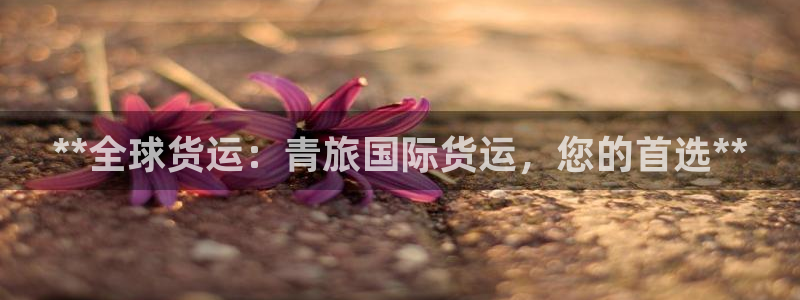 尊龙凯时人生就是搏客户：**全球货运：青旅国际货运，您的
