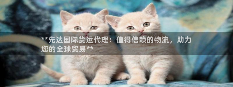 尊龙凯时网站怎么样：**先达国际货运代理：值得信赖的物流