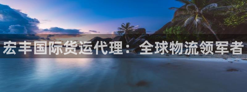尊龙凯时人生就是搏技术实力：宏丰国际货运代理：全球物流领