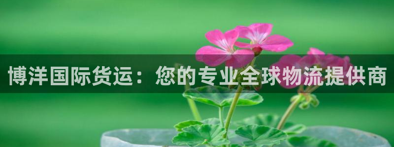 尊龙凯时能做退米么：博洋国际货运：您的专业全球物流提供商