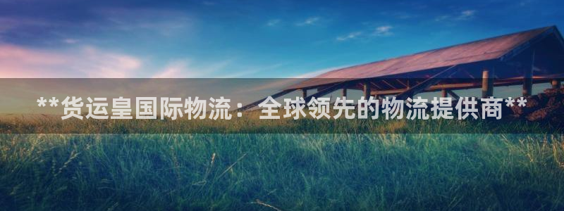 尊龙专访视频：**货运皇国际物流：全球领先的物流提供商*