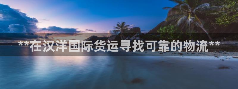 尊龙人生就是博登陆：**在汉洋国际货运寻找可靠的物流**