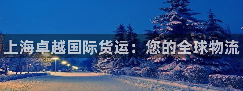 尊龙凯时能做退米么：上海卓越国际货运：您的全球物流