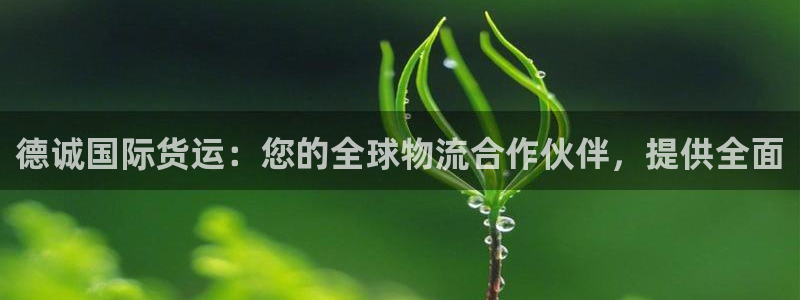 尊龙凯时有限公司：德诚国际货运：您的全球物流合作伙伴，提