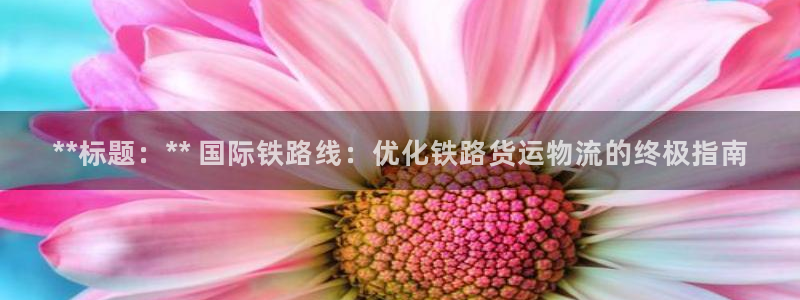 尊龙信息科技有限公司：**标题：** 国际铁路线：优化铁