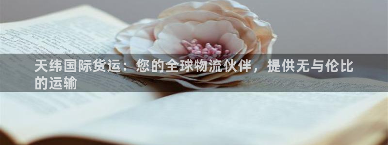 尊龙凯时城娱乐：天纬国际货运：您的全球物流伙伴，提供无与