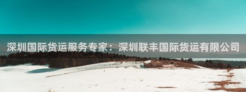 尊龙d88平台版下载：深圳国际货运服务专家：深圳联丰国际