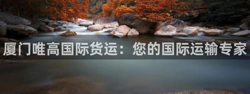 d88尊龙手机客户端下载：厦门唯高国际货运：您的国际运输