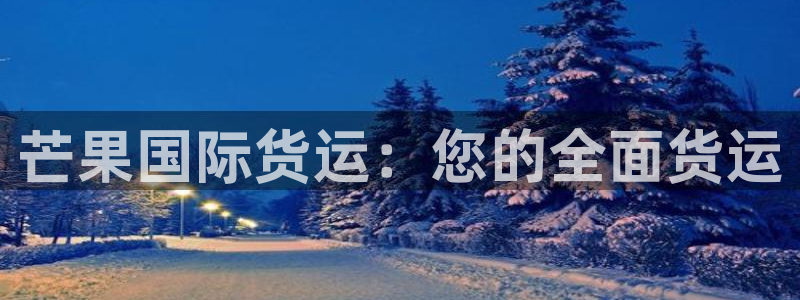 尊龙网平台：芒果国际货运：您的全面货运
