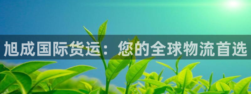 尊龙凯时取款不成功：旭成国际货运：您的全球物流首选