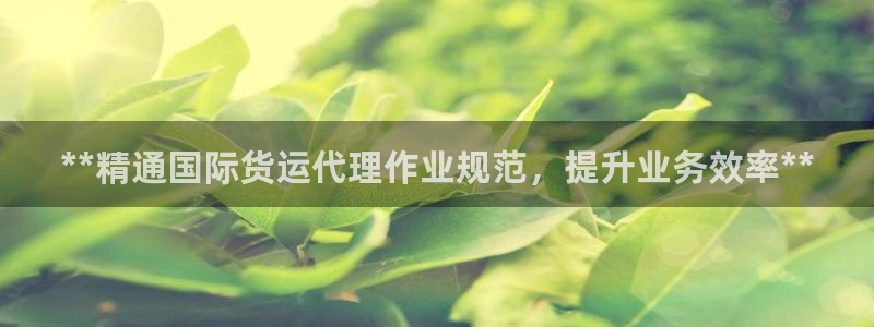 尊龙软件下载：**精通国际货运代理作业规范，提升业务效率