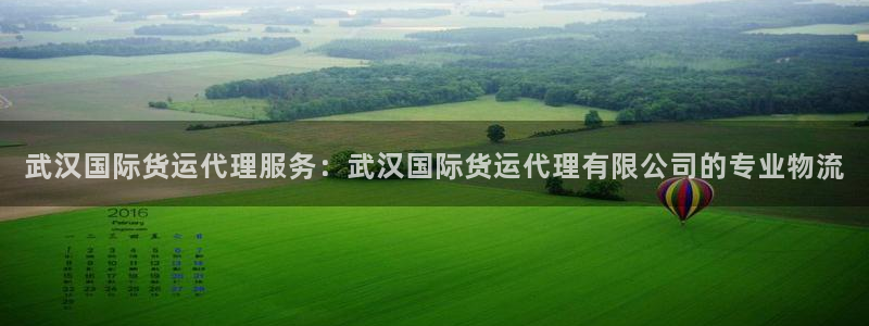 尊龙凯时老板是谁：武汉国际货运代理服务：武汉国际货运代理